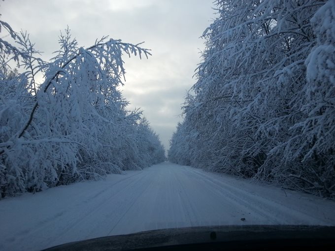 Дорога от Чащи к 100 километру (7 декабря 2013)