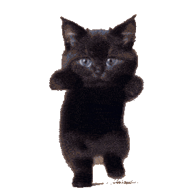 кот